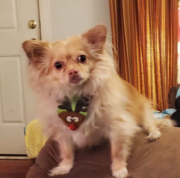 Meet your Posher, Coleen - Picture 1 of 1